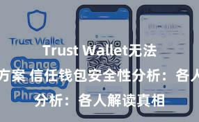 Trust Wallet无法下载解决方案 信任钱包安全性分析：各人解读真相