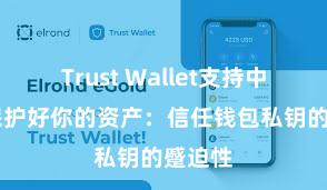 Trust Wallet支持中文吗 保护好你的资产：信任钱包私钥的蹙迫性